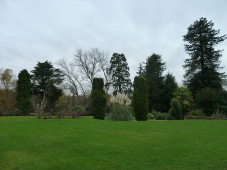 e0176457_6585240.jpg