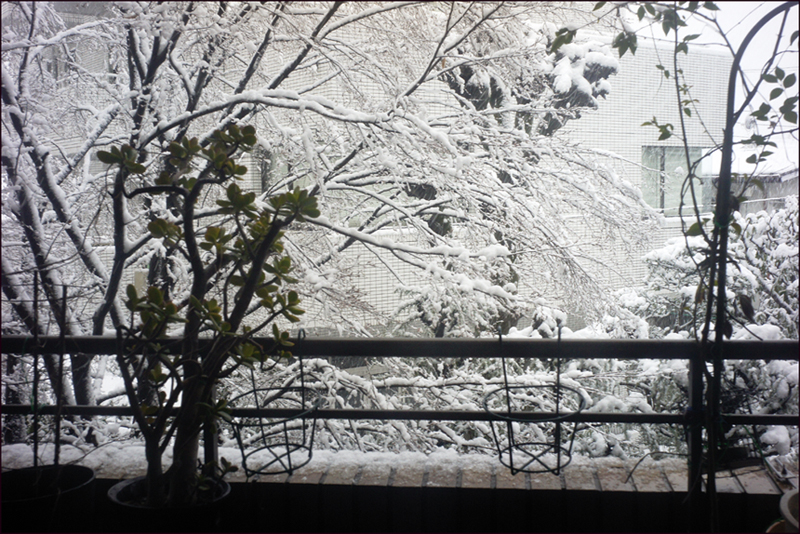 モノクロ化の冬の巴里と白黒の初雪の東京_a0031363_2354665.jpg