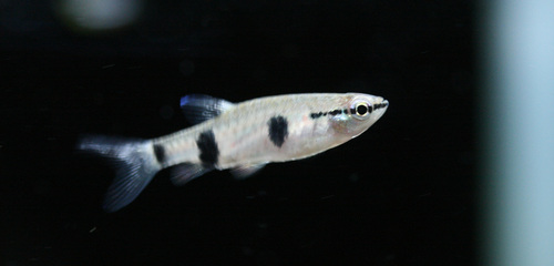 a0162263_22291041.jpg