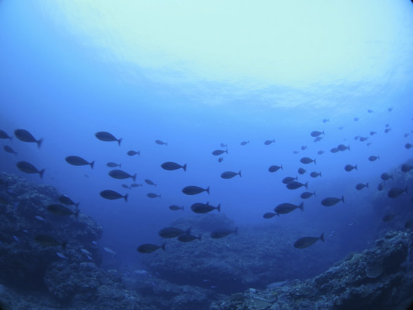 b0062363_20211455.jpg