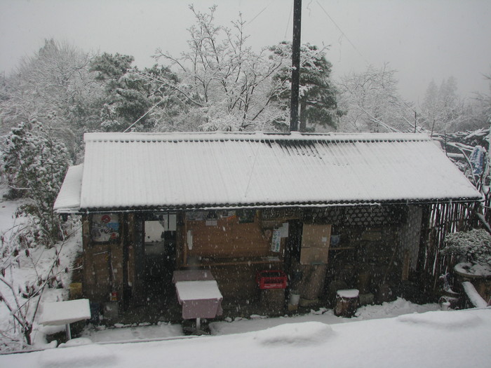 新年早々の雪景色をどうぞ_d0170570_12361075.jpg