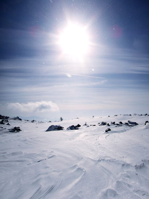 f0202271_1310436.jpg