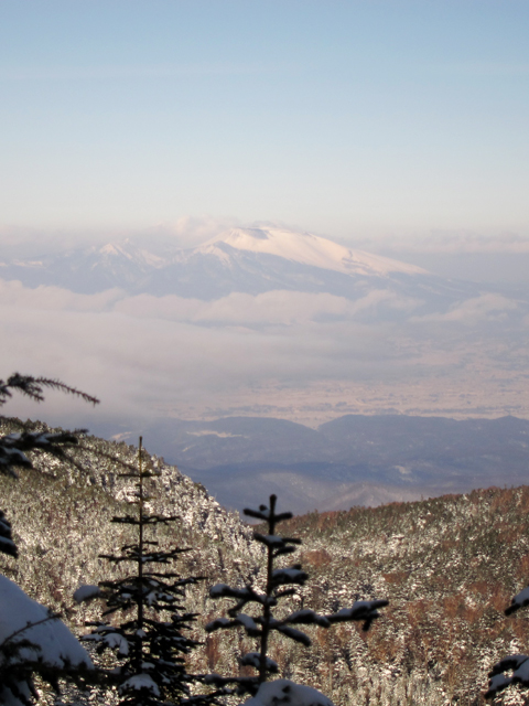 f0202271_13344937.jpg