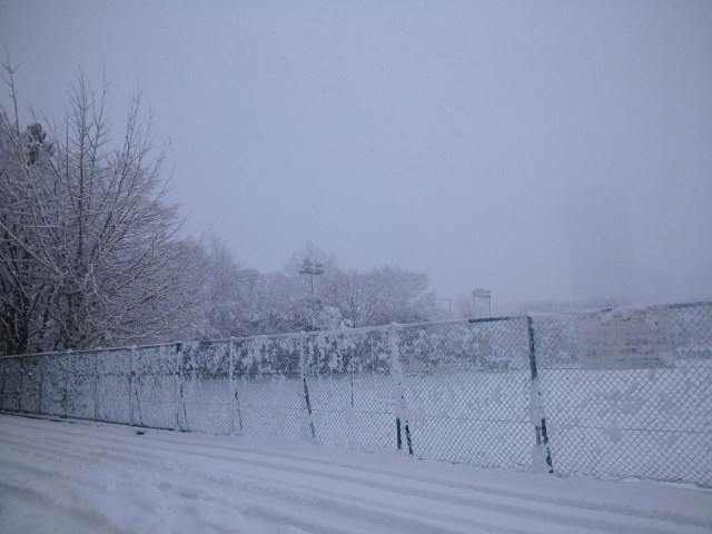 a0118079_22224675.jpg