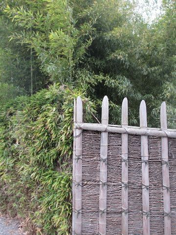 桂離宮 桂垣 中村軒の麦代餅 Que Sera Sera 桂離宮 桂垣 中村軒の麦代餅 Que Sera Sera