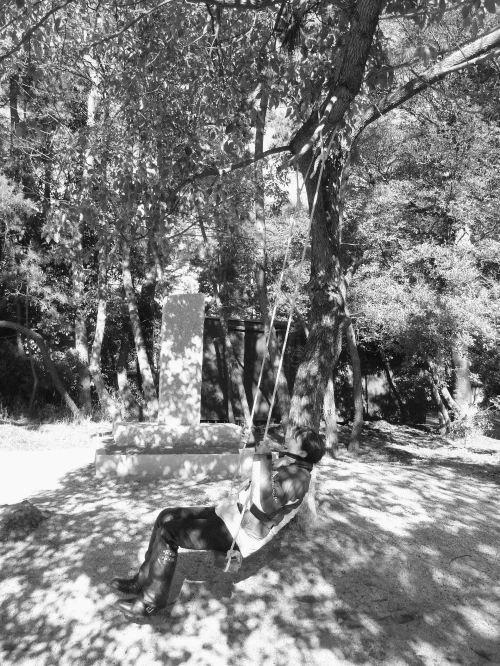 d0179983_1462574.gif