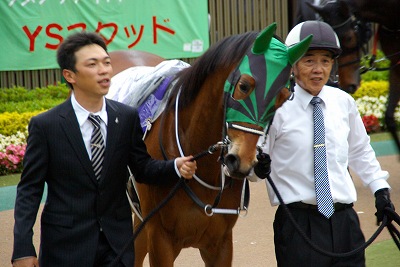 ２０１１年フローラＳ優勝馬・バウンシーチューン引退、繁殖入り_b0015386_22295064.jpg