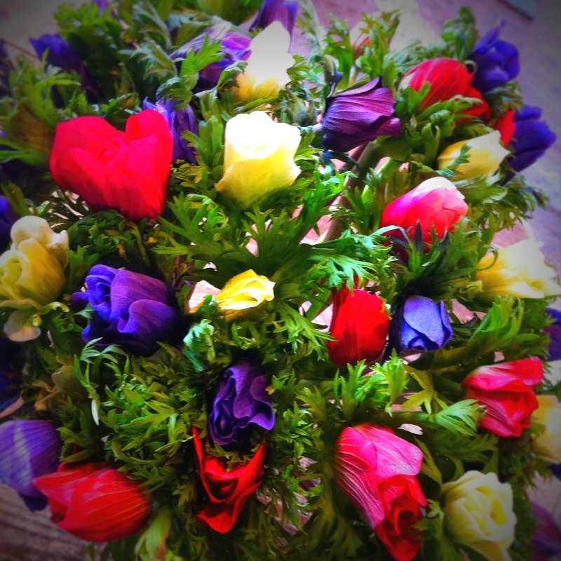 anemone coronaria_c0069389_1132258.jpg