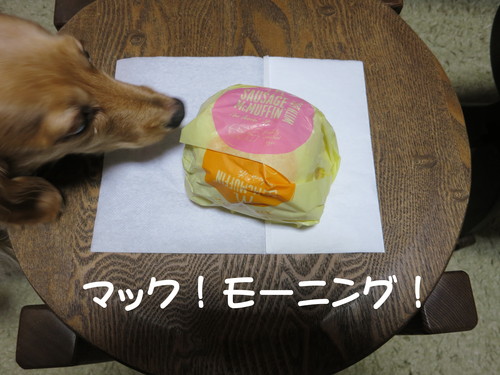 Escape From 賀詞交歓会_b0200291_1855872.jpg