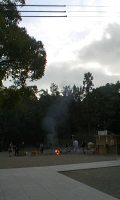 a0188798_1942590.jpg