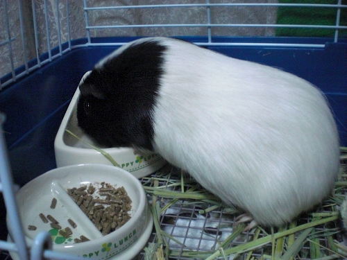 c0241498_626436.jpg