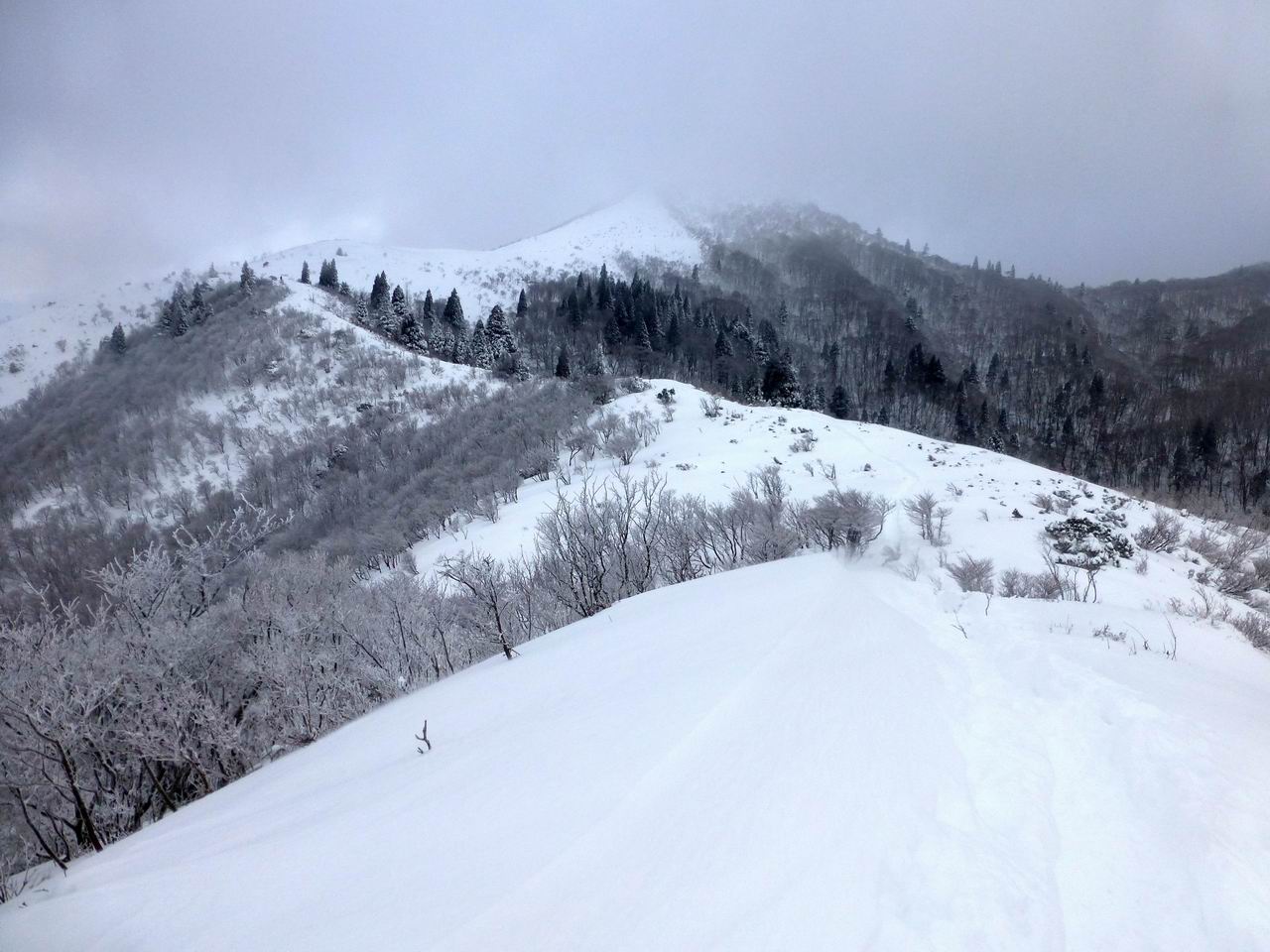 武奈ヶ岳－期せずして比良登山_e0110500_23113659.jpg