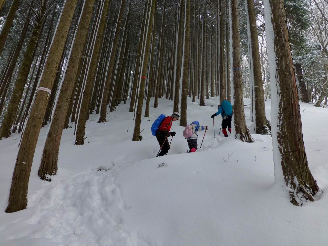 武奈ヶ岳－期せずして比良登山_e0110500_2322944.jpg