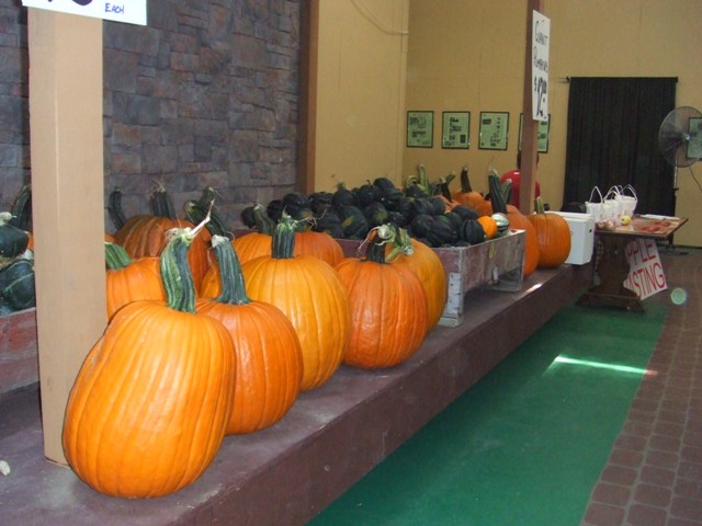 c0062603_1251022.jpg