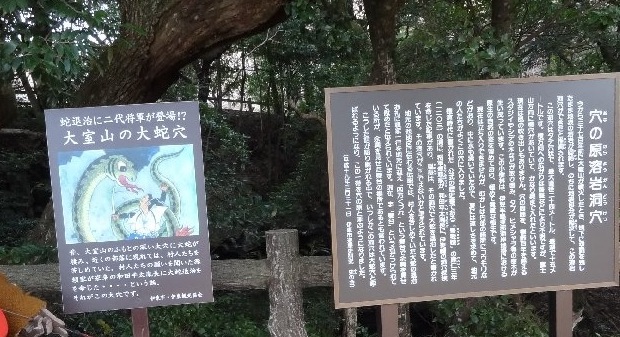 f0220504_81505.jpg