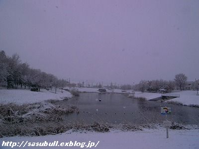 e0145805_20543145.jpg