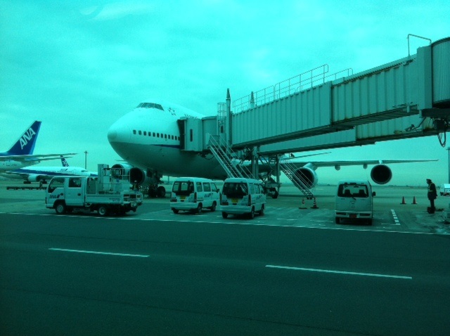 e0181908_053433.jpg