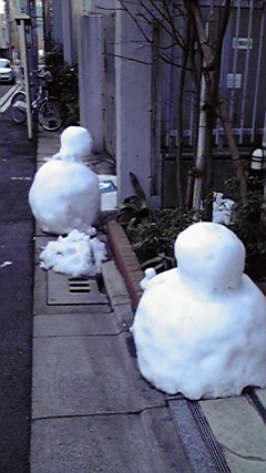 再開!!_e0228210_8534268.jpg