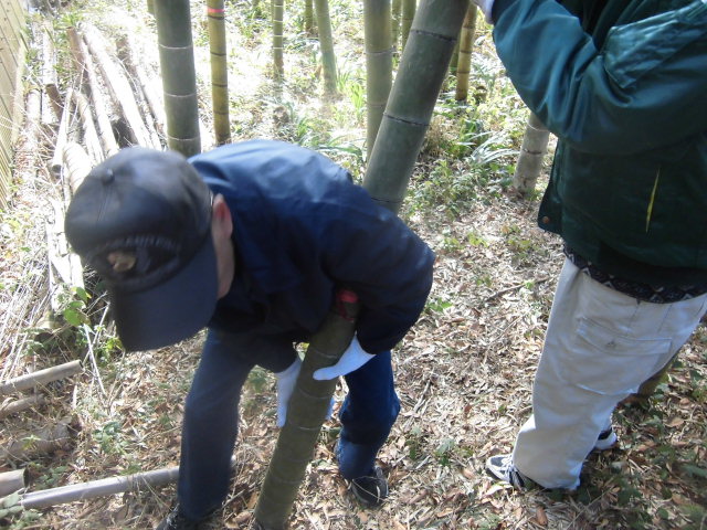 生きている竹は重かった_f0141310_7261743.jpg