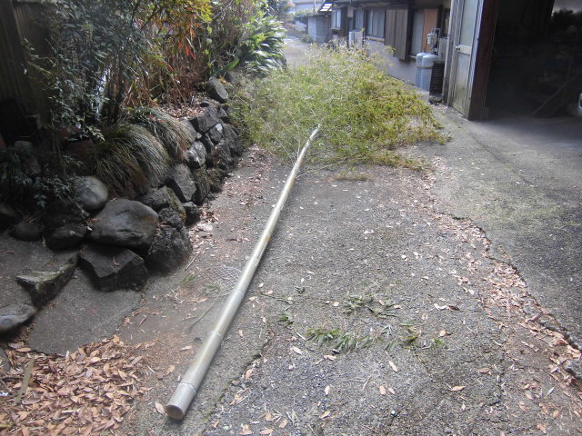 生きている竹は重かった_f0141310_7271466.jpg