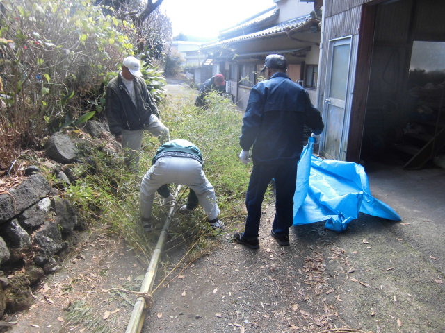 生きている竹は重かった_f0141310_7275096.jpg