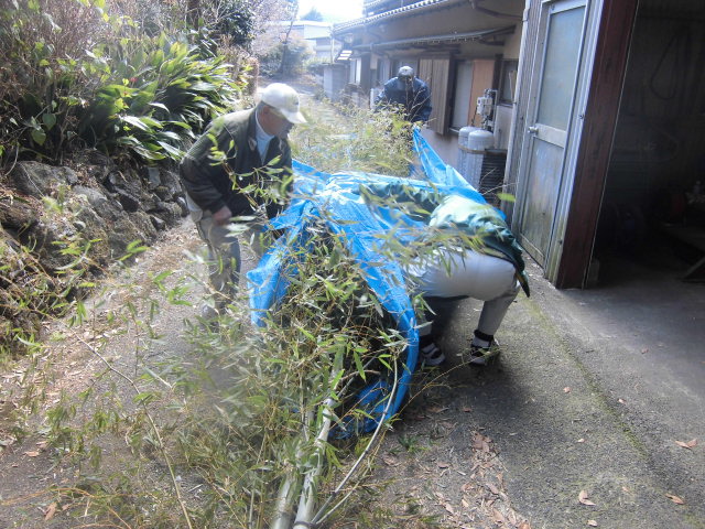 生きている竹は重かった_f0141310_728211.jpg