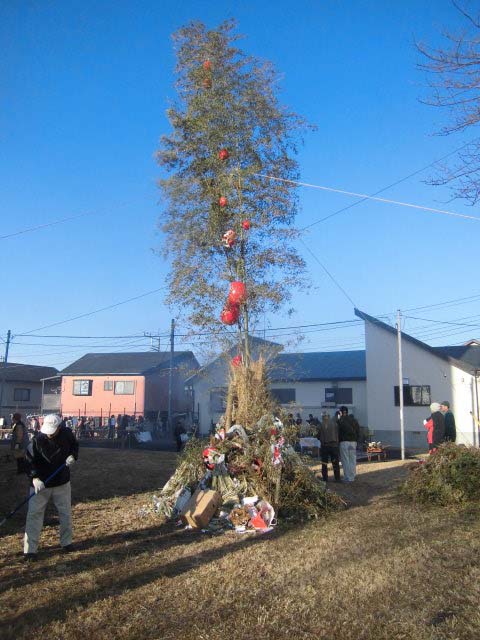 生きている竹は重かった_f0141310_7292094.jpg