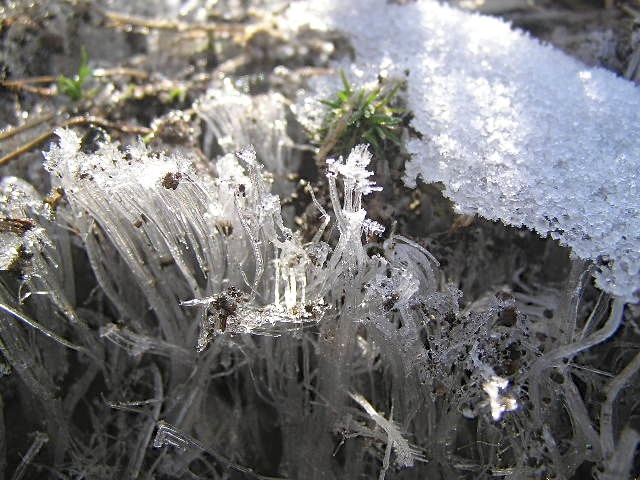 c0248013_1653044.jpg