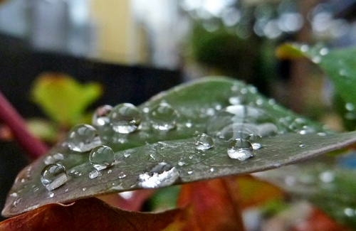 d0025414_041282.jpg