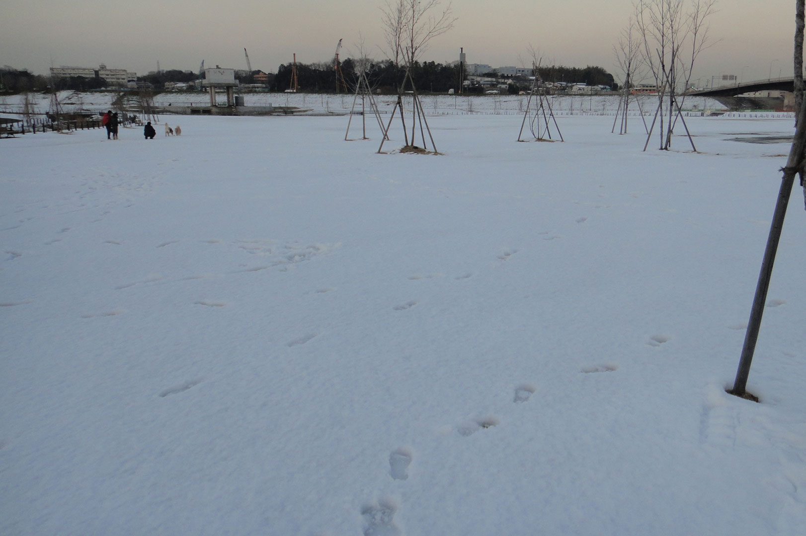 c0028424_2371475.jpg