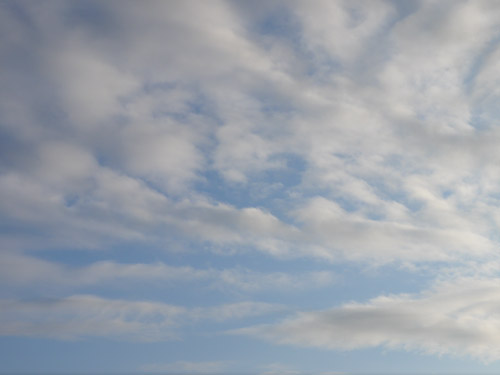 北海道2012/フラワーランドかみふらの_b0035734_2027128.jpg