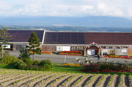 北海道2012/フラワーランドかみふらの_b0035734_2037466.jpg
