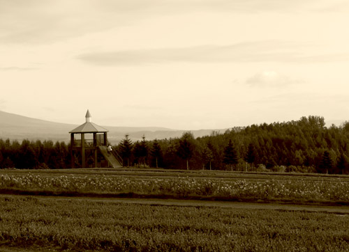 北海道2012/フラワーランドかみふらの_b0035734_20381582.jpg