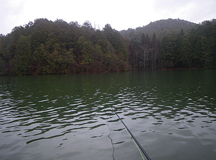 b0174137_20221346.jpg