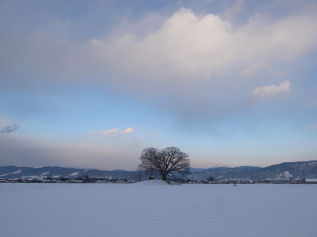 a0014840_1834748.jpg