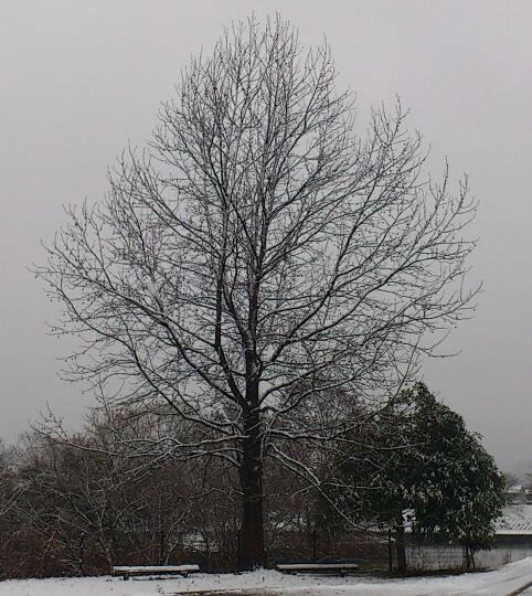 e0291042_1652754.jpg