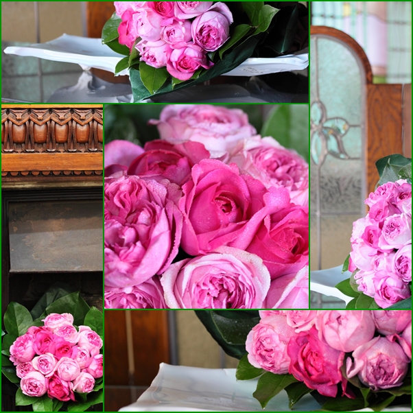 芍薬のような薔薇_e0241944_179924.jpg