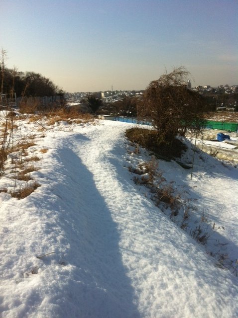 雪の日から3日後・・_c0222448_1484758.jpg