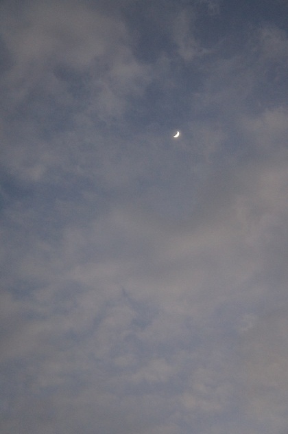 a0292060_18562367.jpg