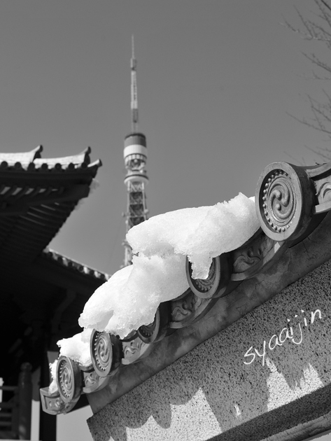 東京タワーと雪のある寸景_d0251161_21826.jpg