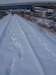 雪中散歩　と　１月折り返し。_e0160568_1132252.jpg