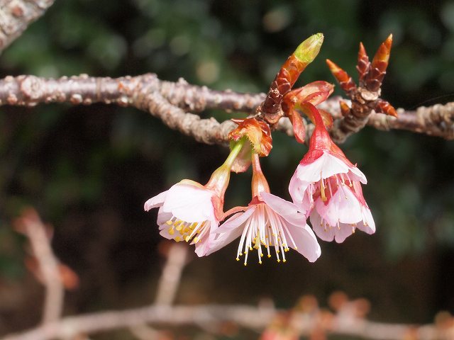 b0135573_23504239.jpg