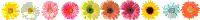 f0145976_2151582.gif