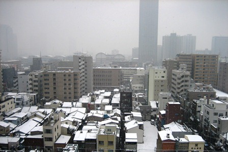 大雪_b0097183_12121444.jpg