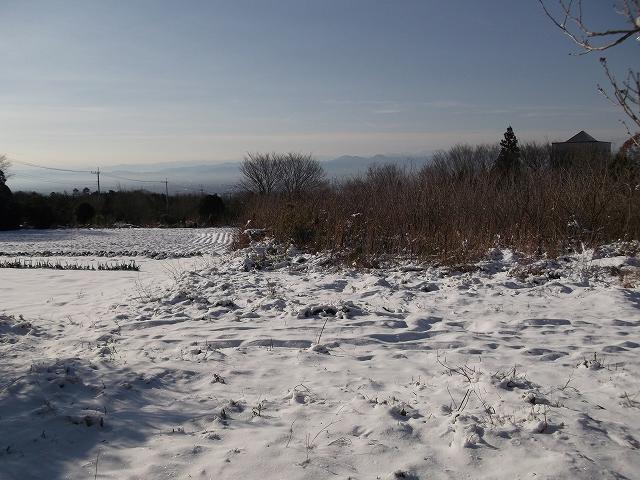 c0212083_2239672.jpg