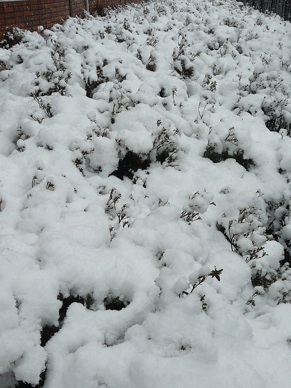 e0268586_1601213.jpg