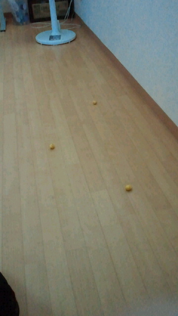 c0205393_1217442.jpg
