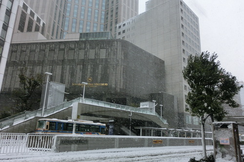 f0153998_0154657.jpg