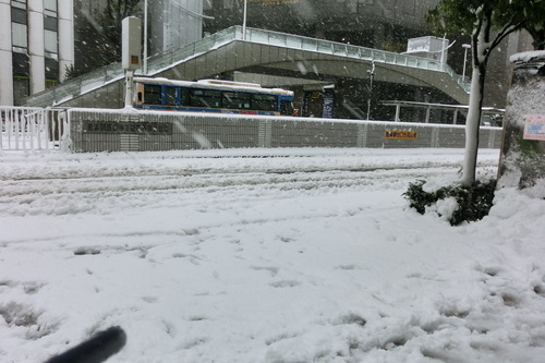 f0153998_0162983.jpg