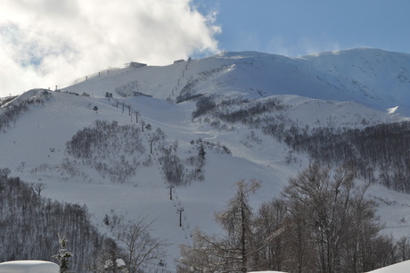 日本を代表する白馬八方スキー場で粉雪を楽しむ。_c0242406_18204552.jpg